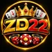 zd22 game